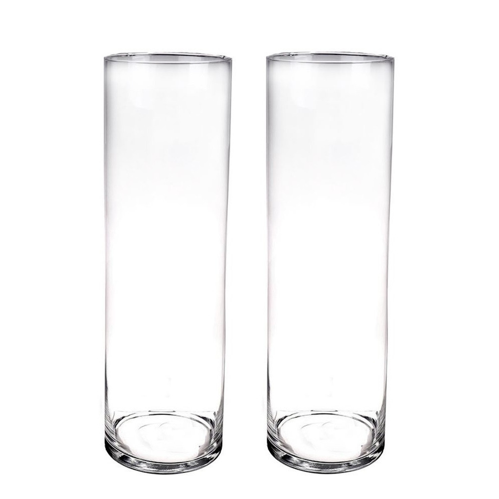 Merkloos Set van 2x stuks hoge cilinder vazen van glas 50 x 15 cm -