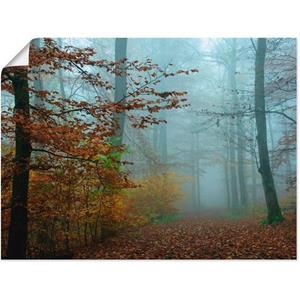 Artland Artprint Mist in herfstbos als artprint op linnen, poster, muursticker in verschillende maten