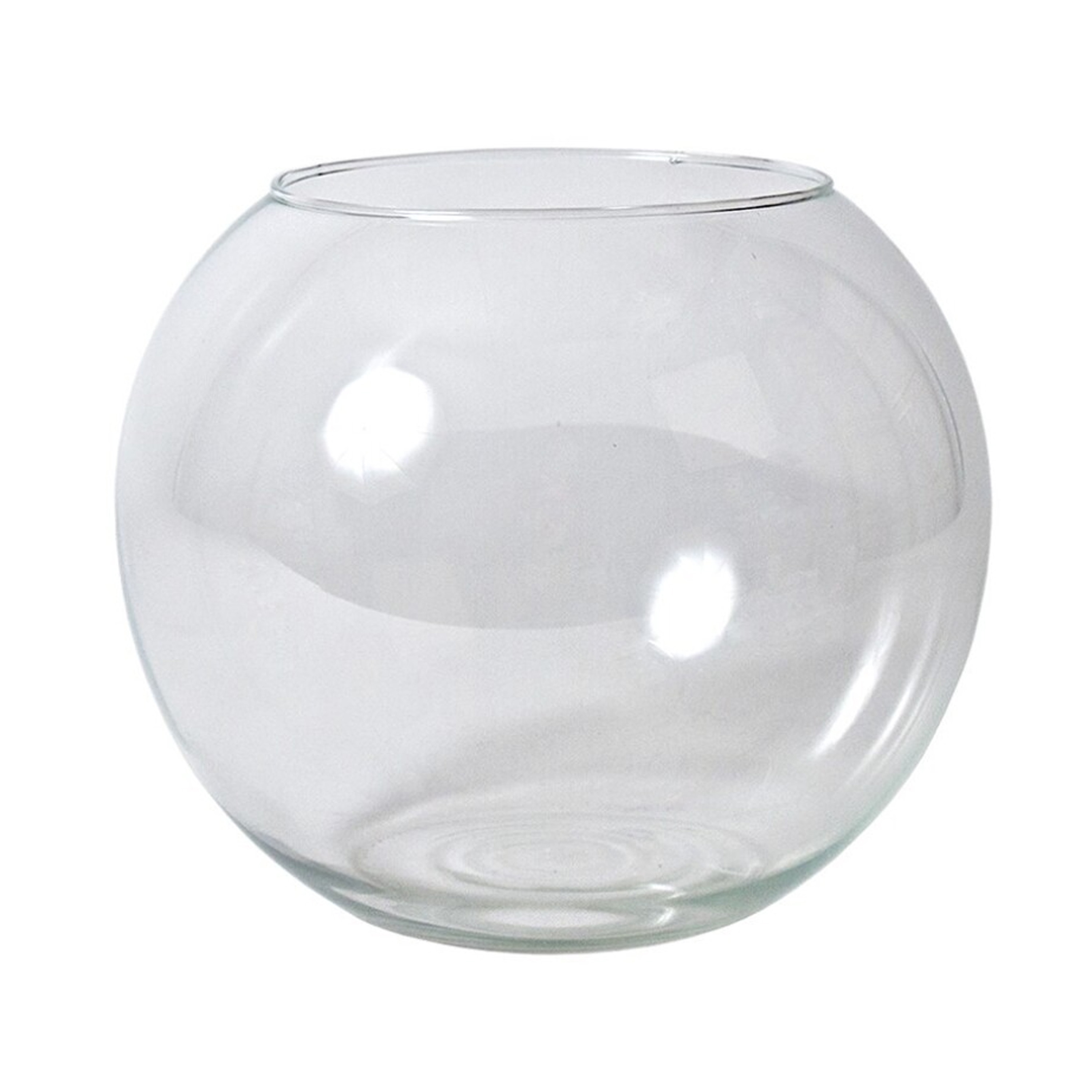 Gerimport Bol vaas/terrarium - D25 x H21 cm - glas - transparant -