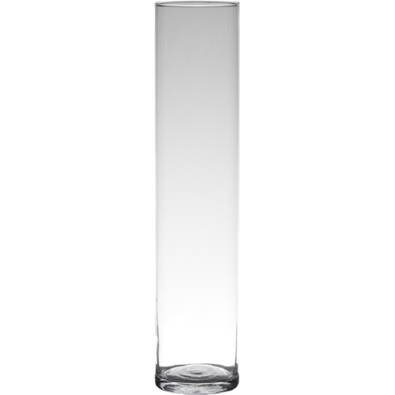 Hakbijl Glass Hakbijl glas - Bloemenvaas smal - Transparant - cilinder vorm - glas - 50 x 9 cm -