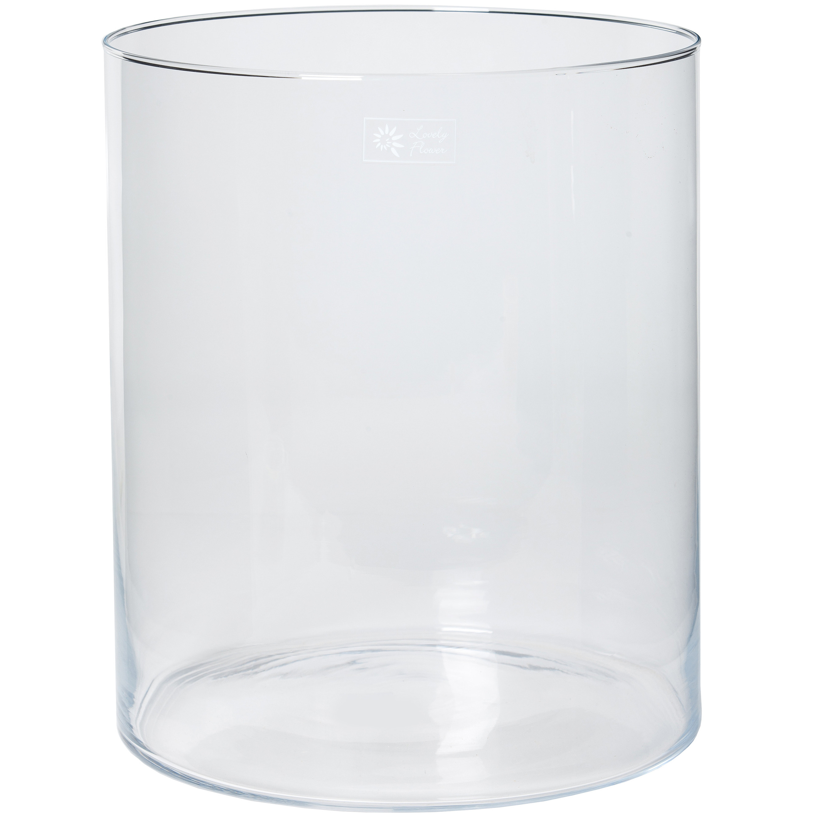 Merkloos Glazen bloemen cilinder vaas/vazen 30 x 35 cm transparant -