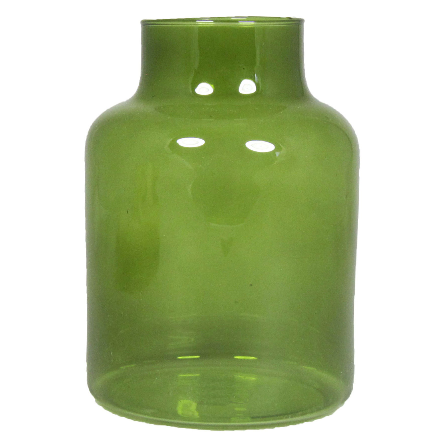 Floran Bloemenvaas - groen/transparant glas - H20 x D15 cm -