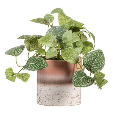 Leen Bakker Kunstplant Fittonia in pot - Groen/bruin - 30 cm