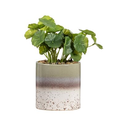 Leen Bakker Kunstplant Hydrocotyle in pot - groen - 30 cm