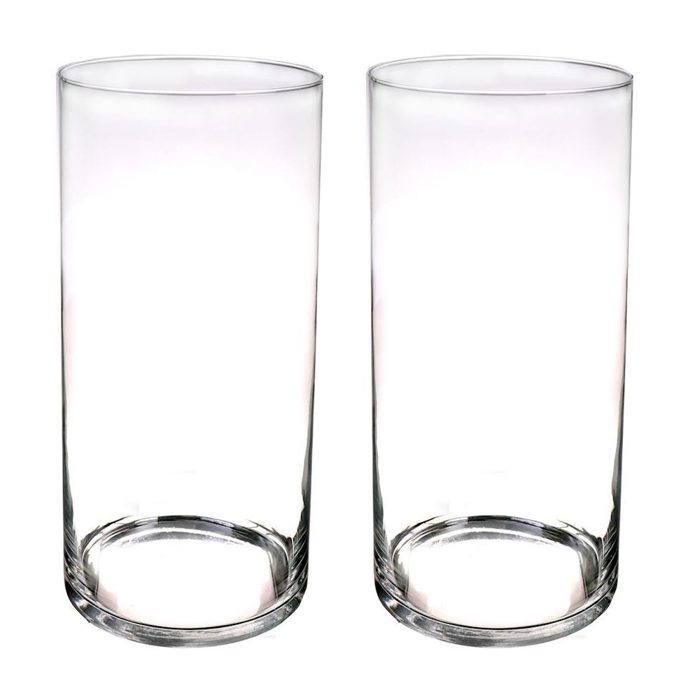 Merkloos Set van 2x stuks cilinder vaas/vazen van glas 60 x 19 cm transparant -
