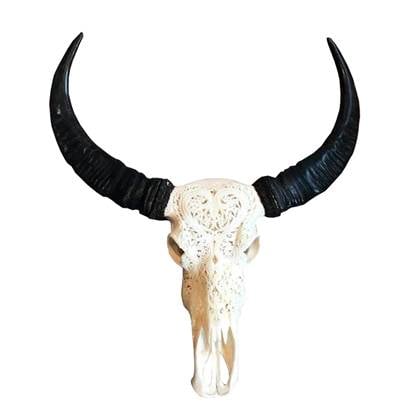 Skull Decoratie Gegraveerde waterbuffel skull echt