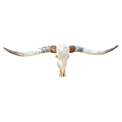 Skull Decoratie  Longhoorn - Skull - Dierenschedel