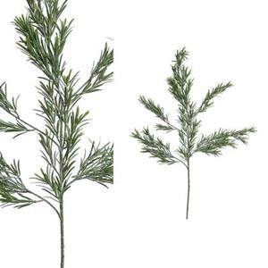 PTMD Twig Plant Podocarpus Kunsttak - 53 x 21 x 97 cm - Groen