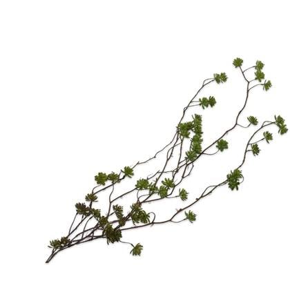 Silk-ka Kunstplant Varen Hang-Zijde Groen 130 cm