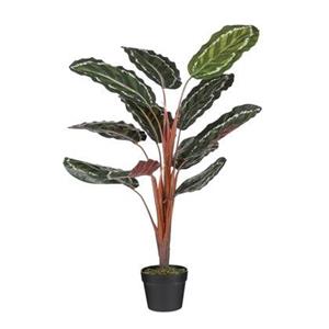 micadecorations Mica Kunstpflanze Calathea roseopicta im Topf grün 90 x 60 cm Kunstpflanzen