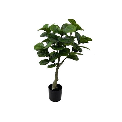 Present time  Artificial Plant Ficus