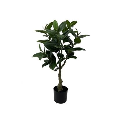 Present time  Artificial Plant Rubber Tree
