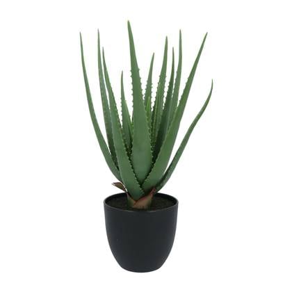 Kopu Kunstplant Aloe Vera 55 cm in zwarte Bloempot - 17 bladeren