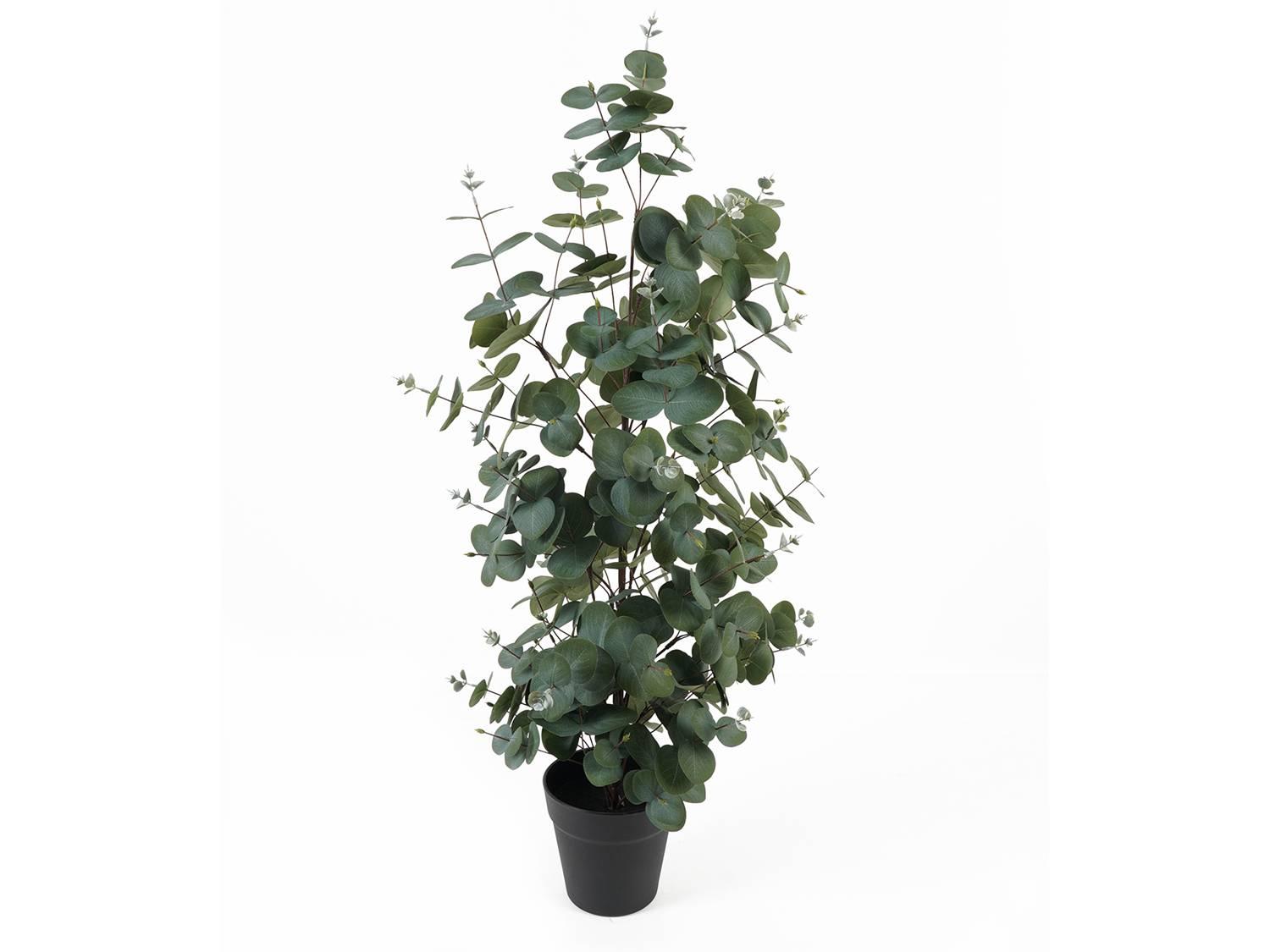 Present Time Kunstplant Eucalyptusblad | 
