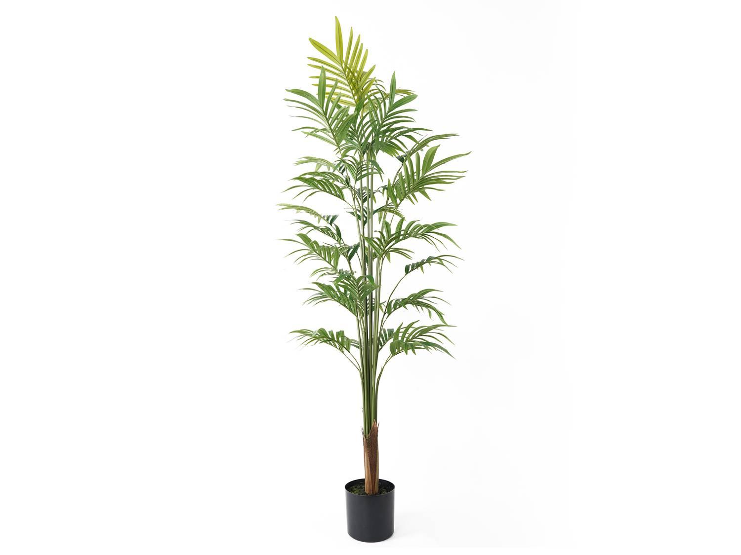 Present Time Kunstplant Palmboom | 