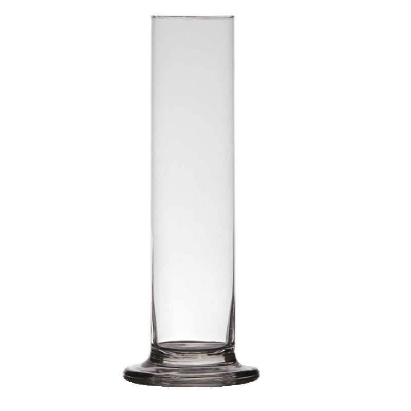 Merkloos Transparante luxe stijlvolle smalle 1 bloem vaas/vazen van glas 25 x 6 cm -