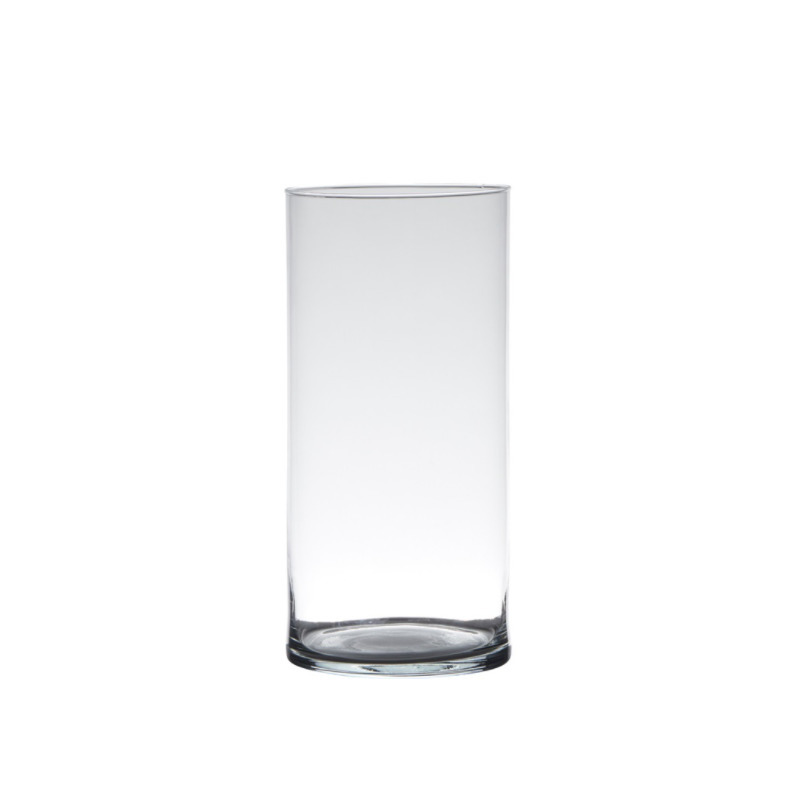 Hakbijl Glass Transparante home-basics cilinder vaas/vazen van glas 25 x 12 cm -