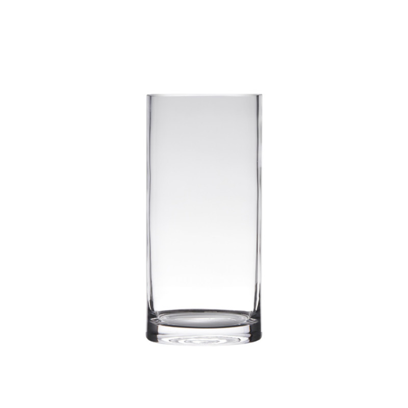 Hakbijl Glass Transparante home-basics cylinder vorm vaas/vazen van glas x 12 cm -