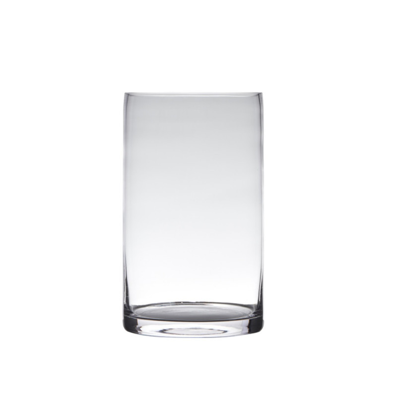 Hakbijl Glass Transparante home-basics cilinder vorm vaas/vazen van glas x 15 cm -