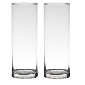 Merkloos Set van 2x stuks transparante home-basics cylinder vorm vaas/vazen van glas 24 x 9 cm -