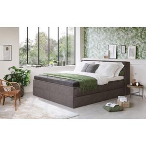 Home affaire Boxspring Sacy