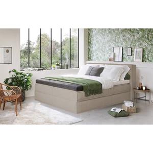 Home affaire Boxspring Sacy