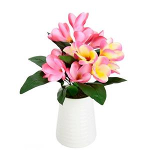 I.GE.A. Kunstbloem Frangipani in Vase aus Keramik (1 stuk)