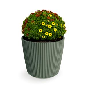 Prosperplast Plantenpot/bloempot Buckingham - kunststof - dennen groen - x 30 cm -
