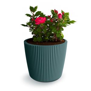 Prosperplast Plantenpot/bloempot Buckingham - kunststof - zeeblauw - x cm -