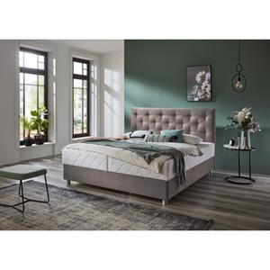 ATLANTIC home collection Boxspring Celia