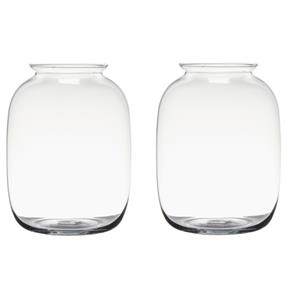 Bellatio Decorations Set van 2x stuks transparante home-basics vaas/vazen van glas 25 x 19 cm -