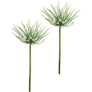 I.GE.A. Kunstbloem Allium Zierlauch