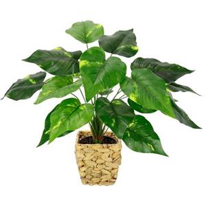 I.GE.A. Kunstplant Pothos plant in waterhyacint pot (1 stuk)