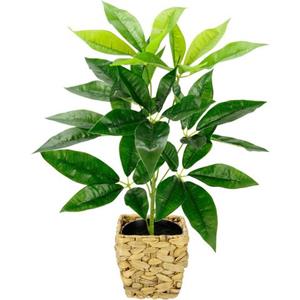 I.GE.A. Kunstplant Schefflera