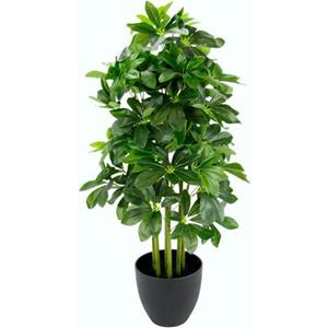 I.GE.A. Kunstplant Schefflera-plant in een plastic pot (1 stuk)