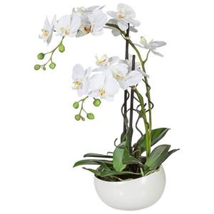 Creativ green Kunstplant Orchidee (1 stuk)