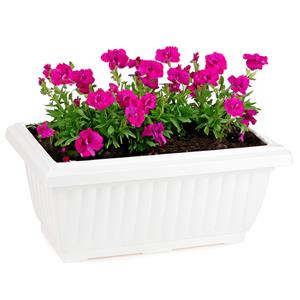 PlasticForte Plantenpot/bloempot Windsor - buiten - kunststof - wit - L33 x B18 x H15 cm -