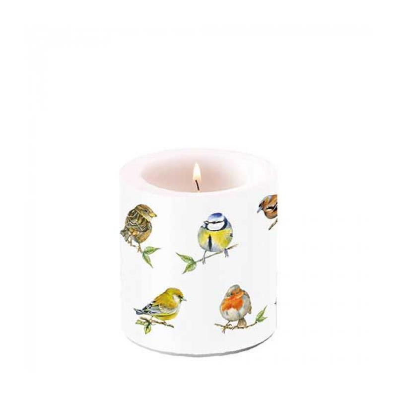 Ambiente Kaars Klein Bird Species White