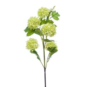 Woonexpress Viburnum