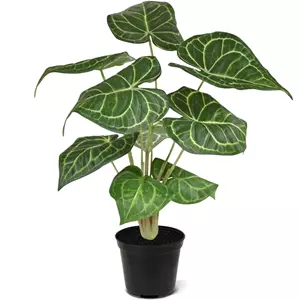 Plantje Anthurium Clarinervium 35 cm - Kunstplant