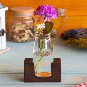 Mioli Decor Bloemvaas Picture Perfect 1-glas | 