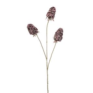 Woonexpress Scabiosa spray