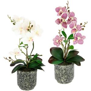 I.GE.A. Kunstplant Orchidee Met bladeren en luchtwortels, in een pot van keramiek(2 stuks)