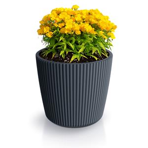 Prosperplast Plantenpot/bloempot Buckingham - kunststof - antraciet - x 30 cm -