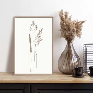 Reinders! Artprint met lijst Dried Flowers