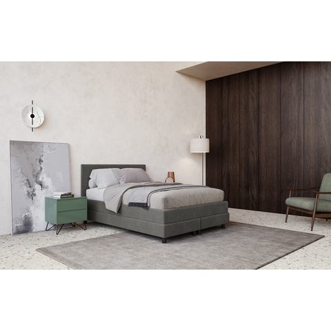 COTTA Boxspring Andorra