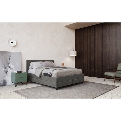 COTTA Boxspring Andorra