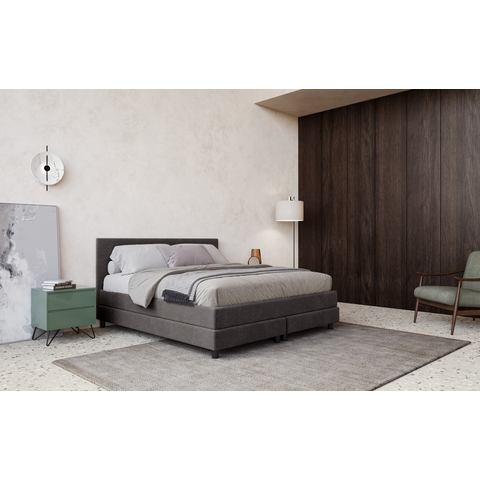 COTTA Boxspring Andorra