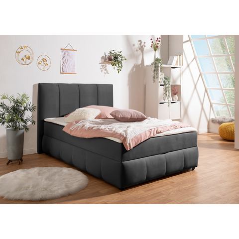 INOSIGN Boxspring Hartley