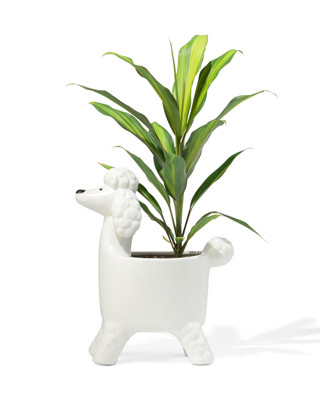 HEMA Plantenpot Poedel 19x15x33cm